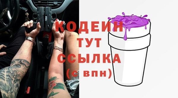 твердый Ельня