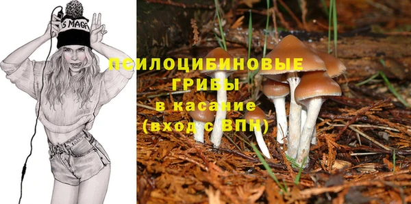 крисы Зерноград