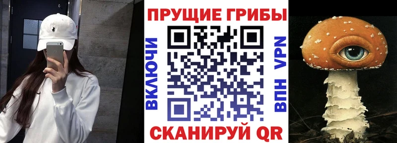 Галлюциногенные грибы Psilocybine cubensis  цены наркотик  Камень-на-Оби 