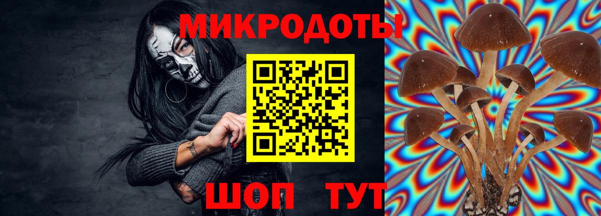 Камень-на-Оби  Галлюциногенные грибы GOLDEN TEACHER  Вход с VPN 